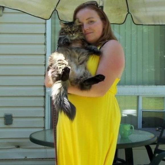 Meet your Posher, Tasha - Picture 1 of 1